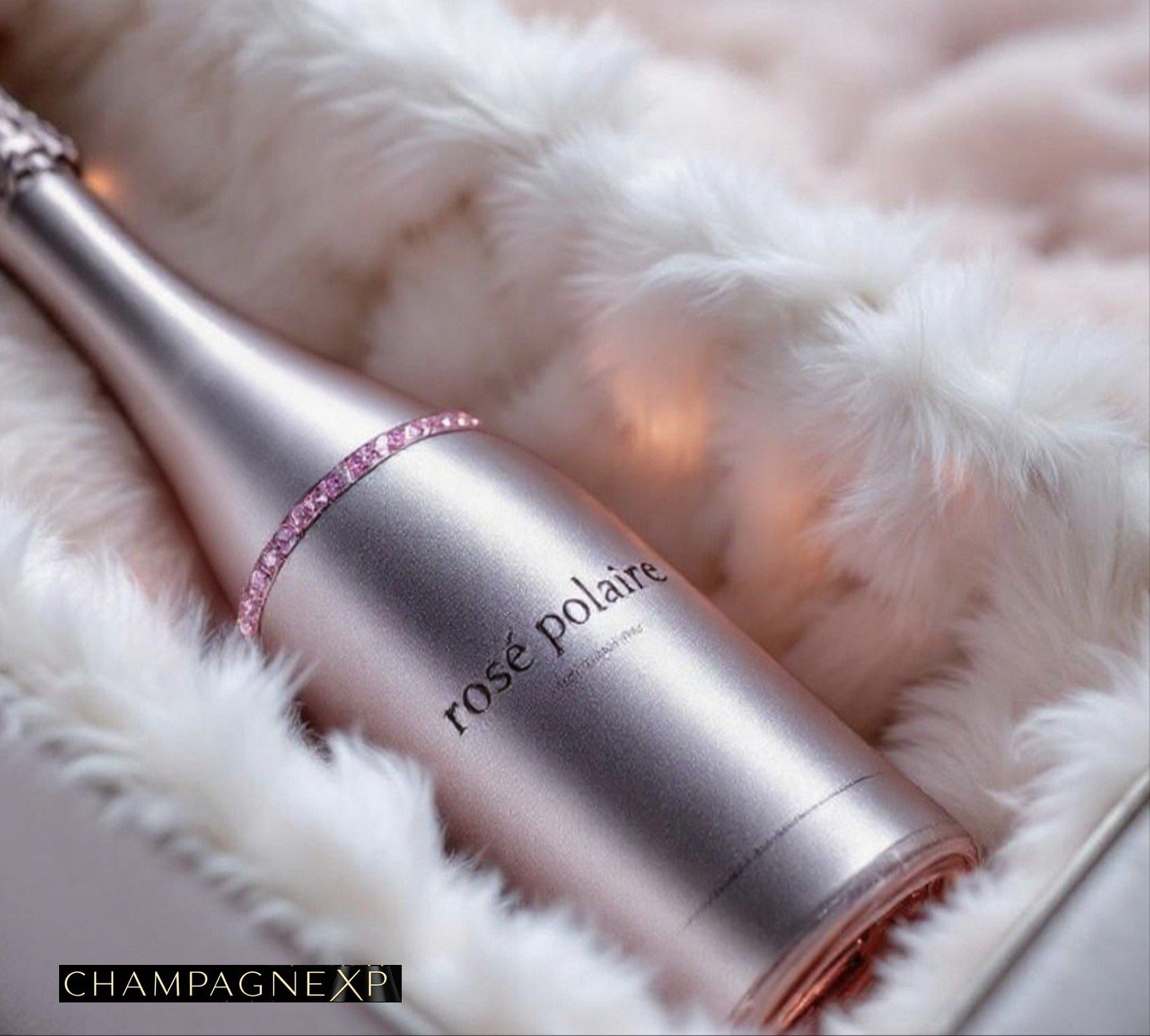 Création ChampagneXP